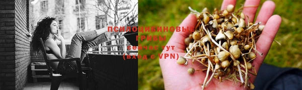ALPHA-PVP Волоколамск