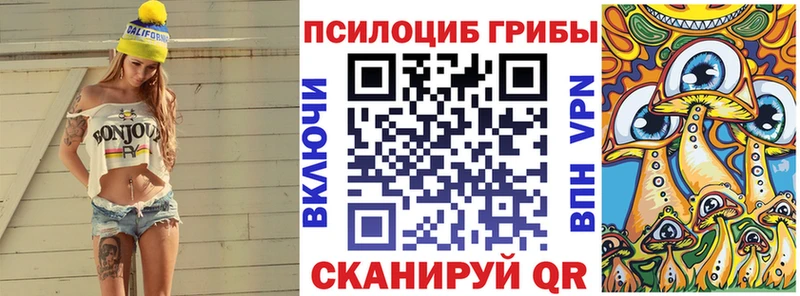 Галлюциногенные грибы GOLDEN TEACHER  где купить наркоту  кракен маркетплейс  Елизово 